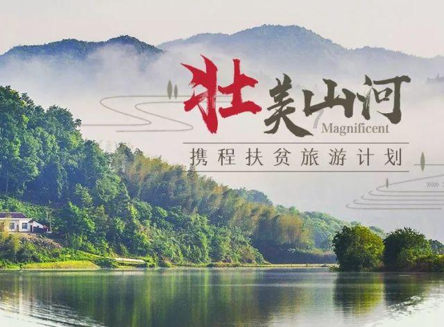 迷你淘气猪逃脱